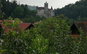 Pensiunea Transilvania Lodge